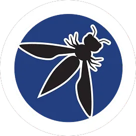 OWASP Smart Contract Auditing image