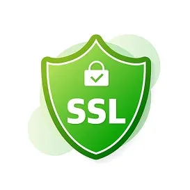 SSL and Data Encryption image